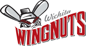 wingnut logo wingnut logo