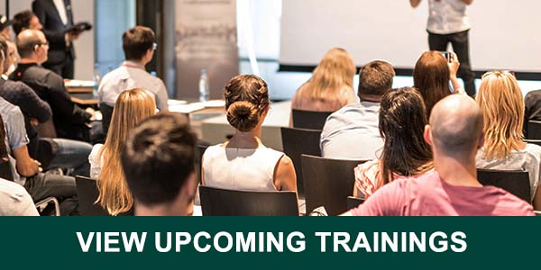 foster-parent-training