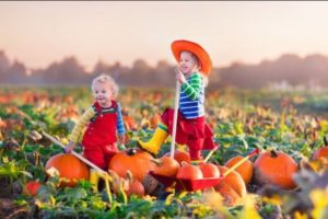 12 Fun Fall Family Activities