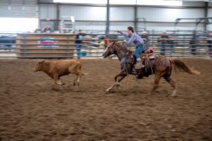 rodeo4 rodeo4