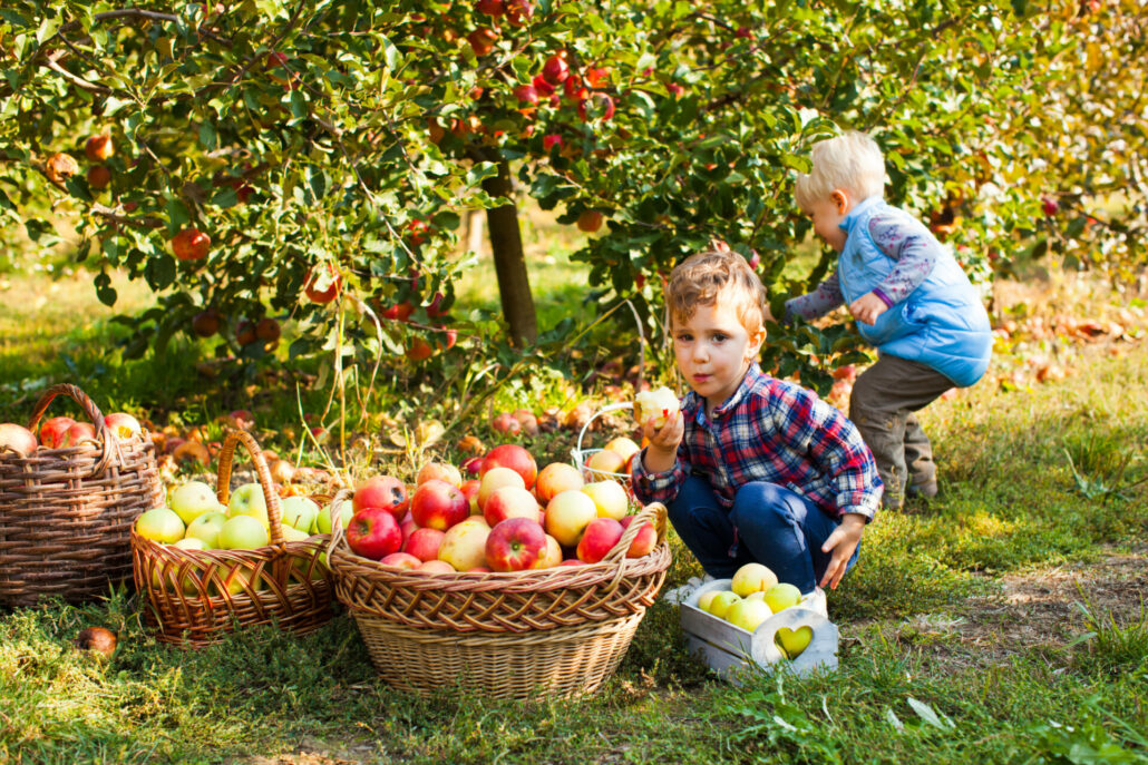 The Best Fall Activities for Foster Kids