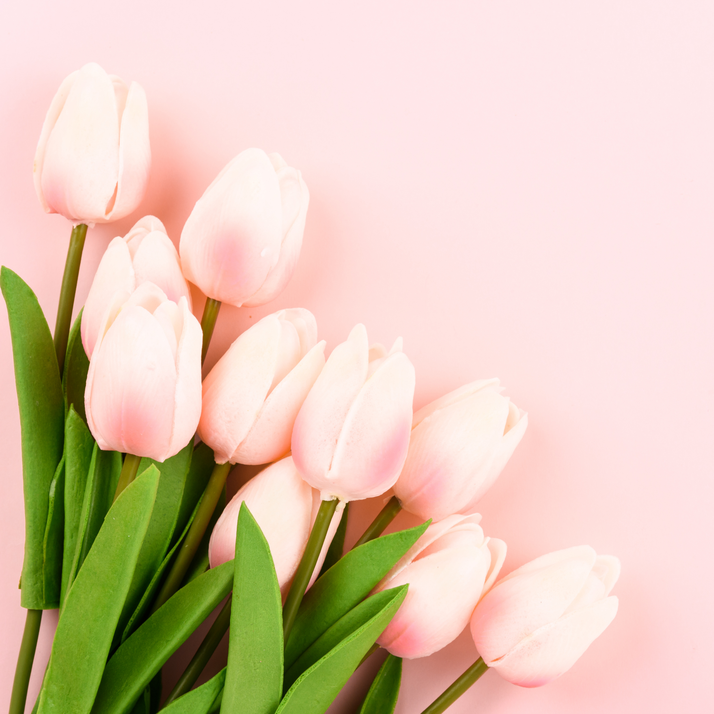 Honoring All Moms: Celebrating the Many Faces of Motherhood This Mother’s Day