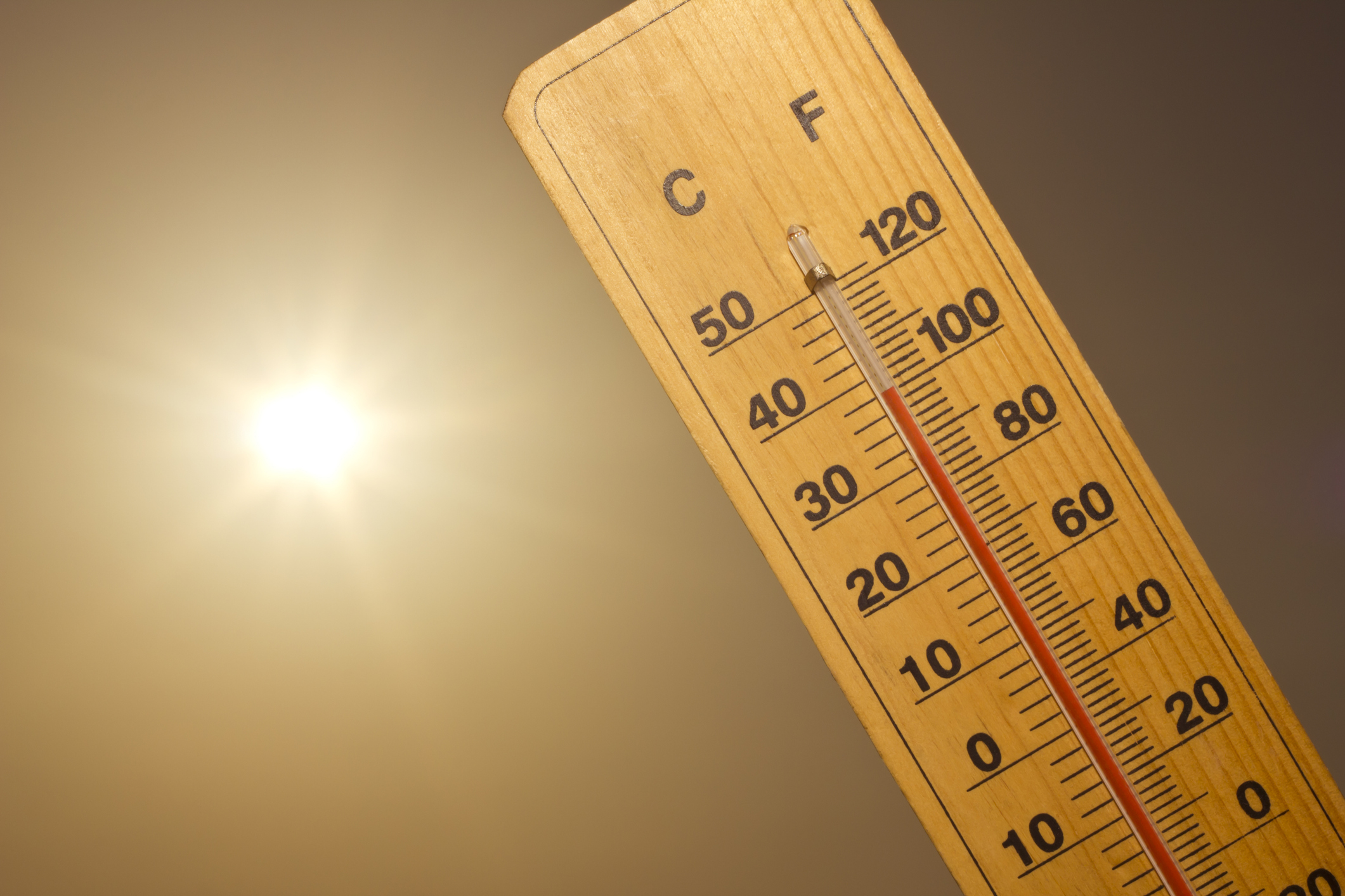 Heat Safety Awareness Day: Safety Tips from TFI