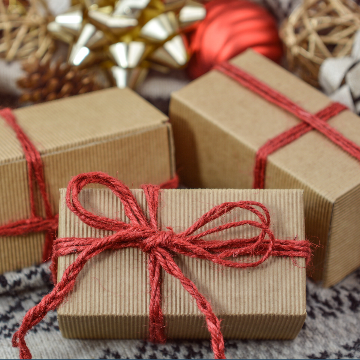 Ways to Give Back During the Holiday Season