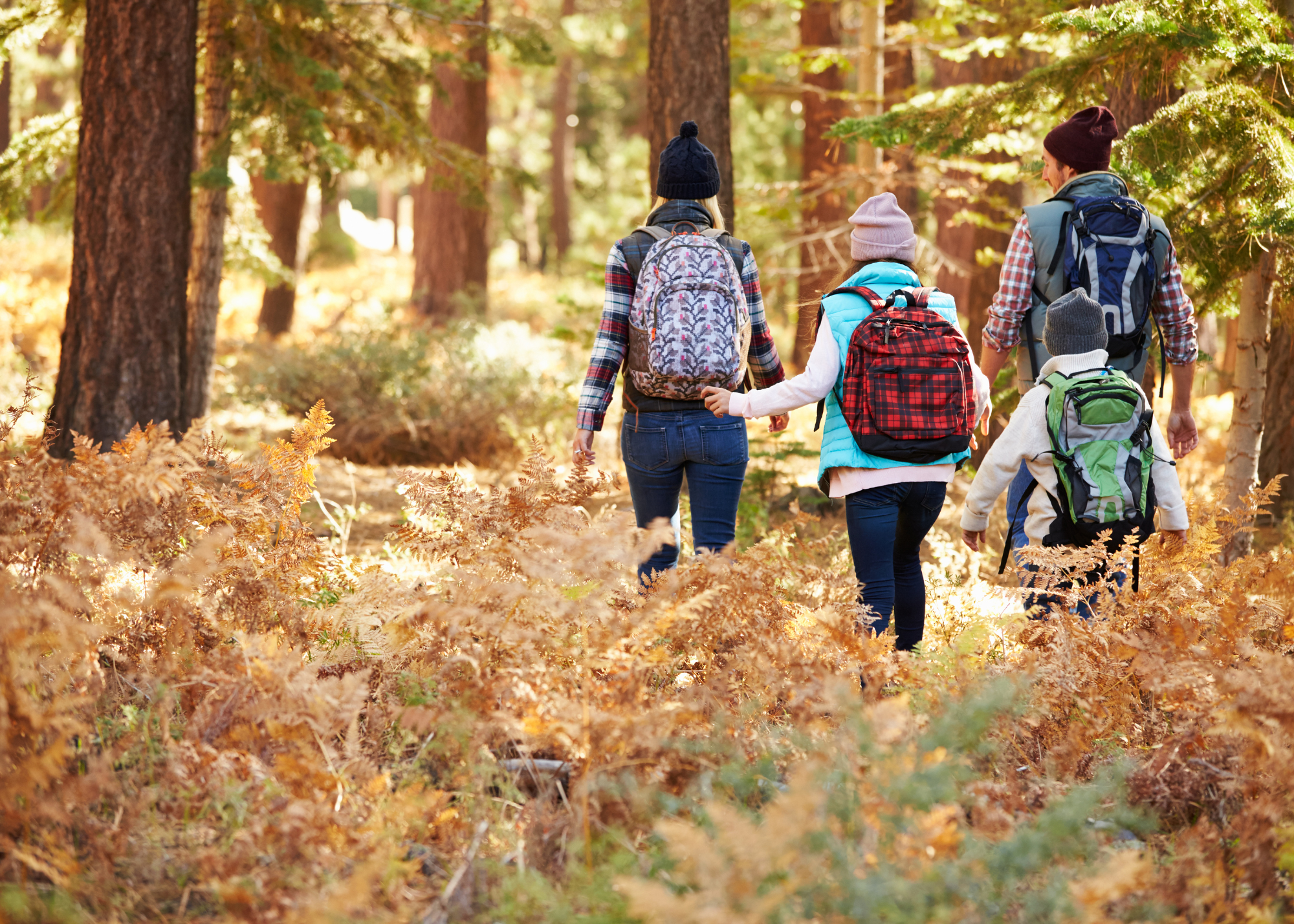 Between Families Newsletter – October 2025